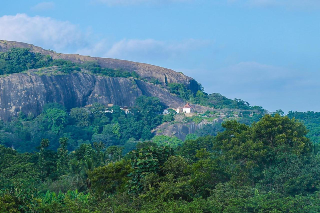 Tropical Life Resort And Spa Dambulla Εξωτερικό φωτογραφία