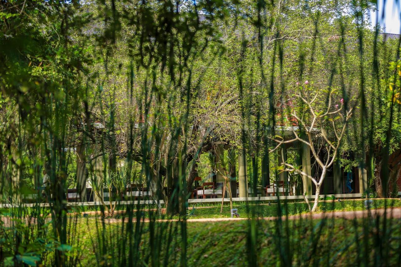 Tropical Life Resort And Spa Dambulla Εξωτερικό φωτογραφία
