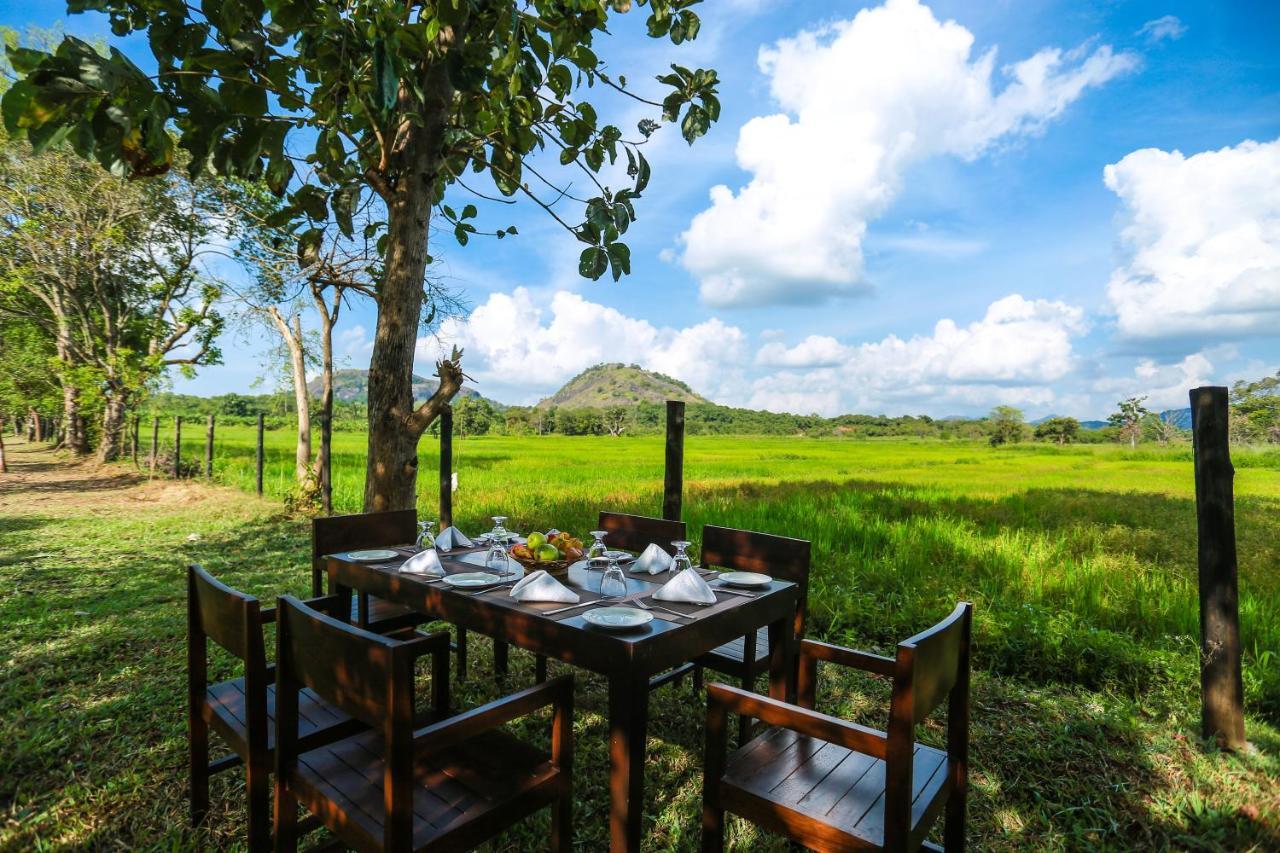 Tropical Life Resort And Spa Dambulla Εξωτερικό φωτογραφία